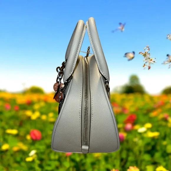 Coach Sydney Satchel Crossbody Lt. Sage Green Silver Logo Bag w/ pink cherry NWT - Picture 5 of 11